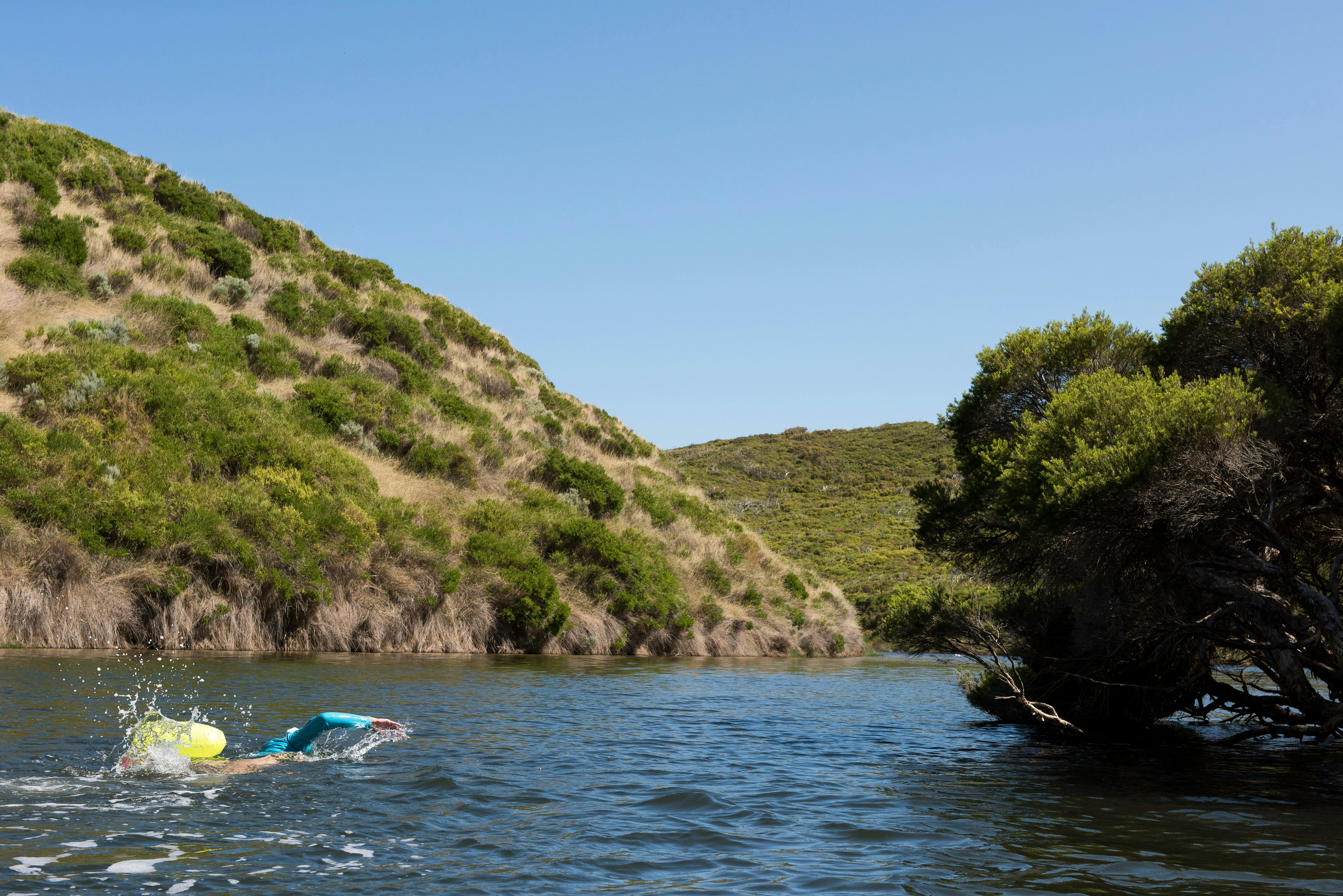 Swimwild Escape