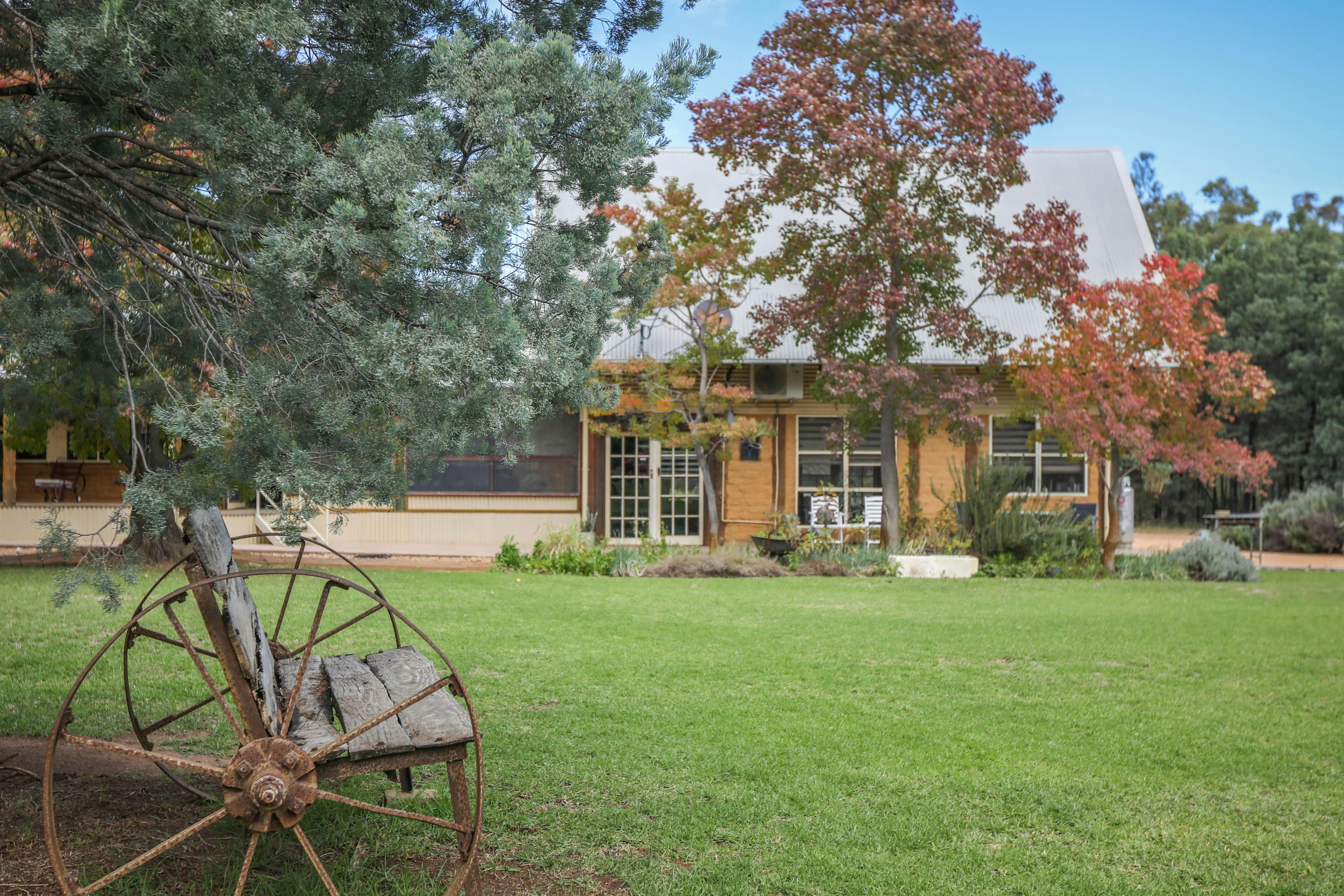 A spacious back yard