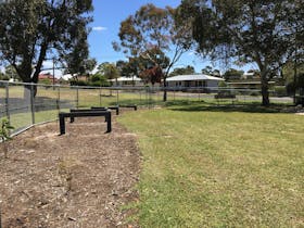 Market Square Recreation Area - dog park