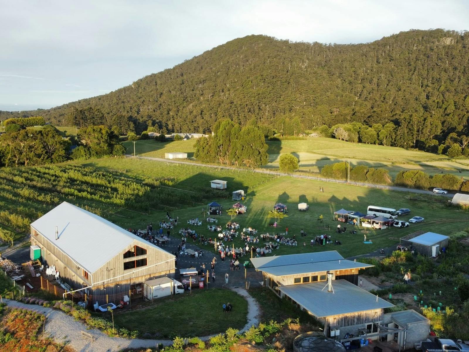 Twilight Christmas Market at Mount Gnomon Farm