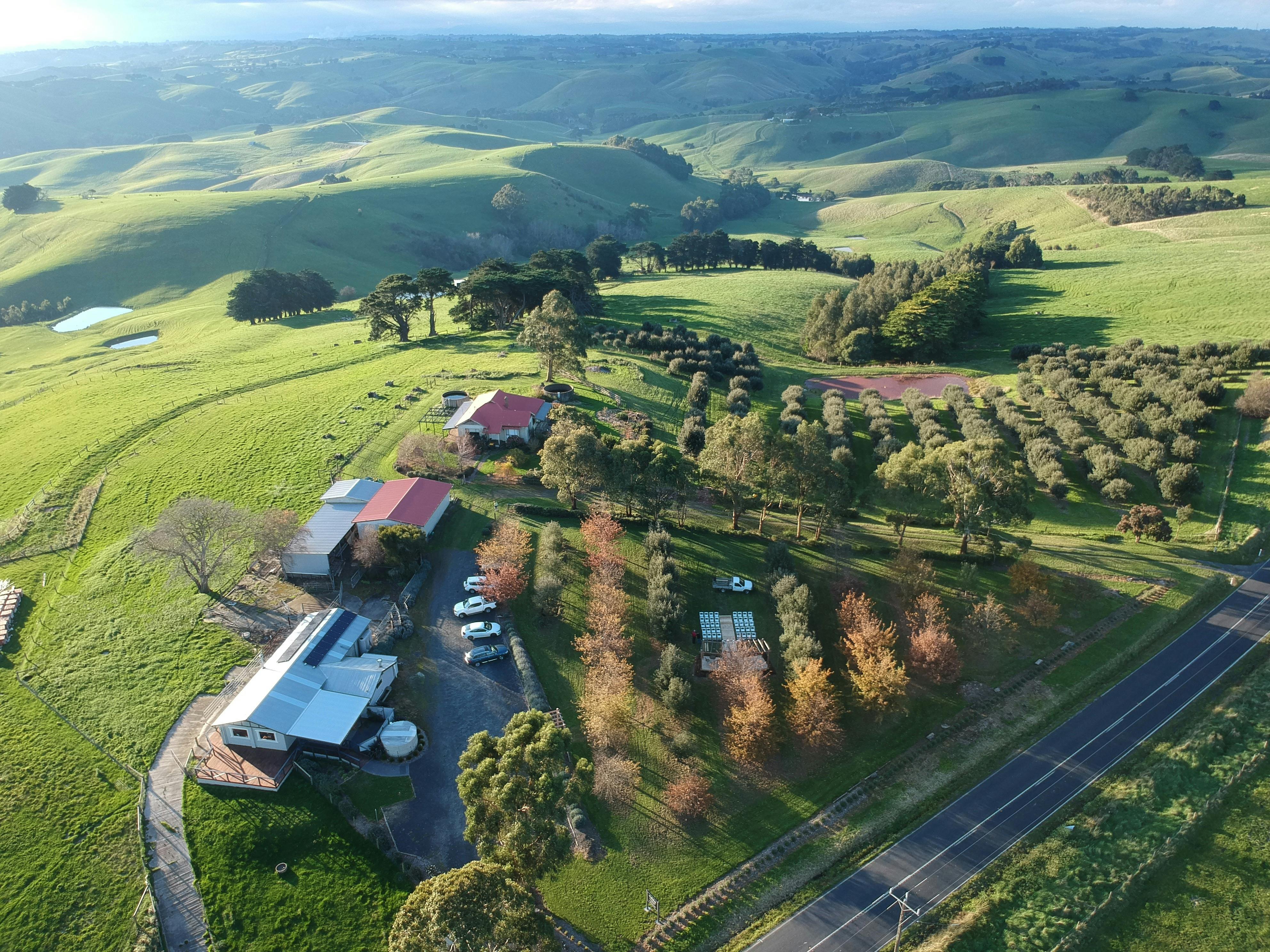 The Truffle House Farm