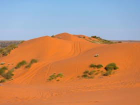 Big Red sand dune, Munga-Thirri National Park (Simpson Desert)