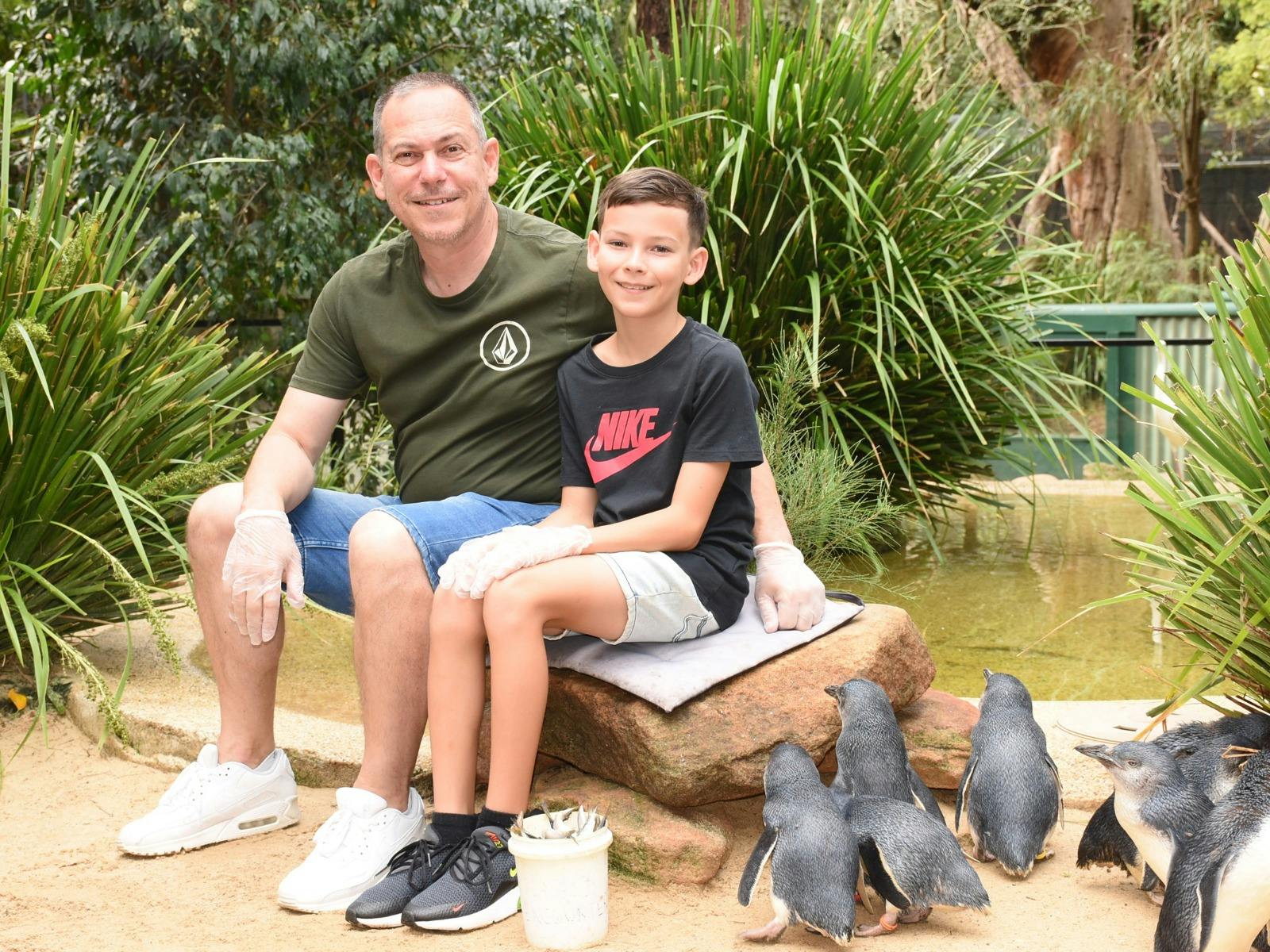 An adult and child sit beside a group of little penguins at Featherdale Sydney Wildlife Park.