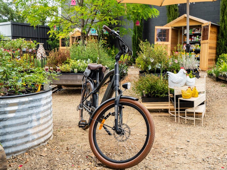 Bike in the nursery