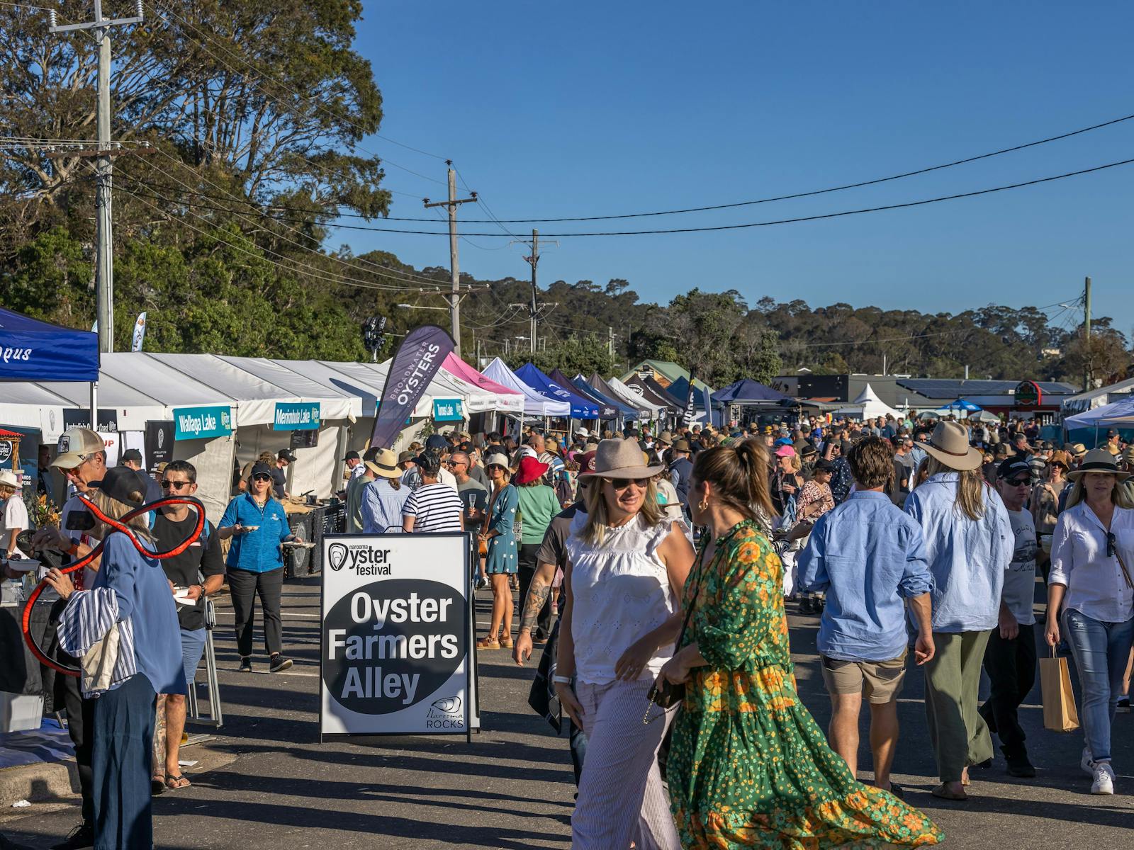 people stroll around stall which are selling oysters direclty from the farmers