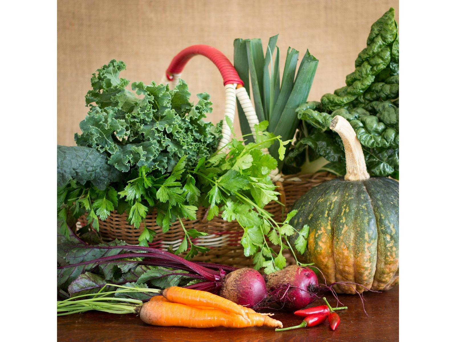 An image of a basket of mixed vegetables