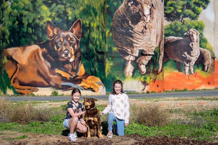 Karoonda Silo Art