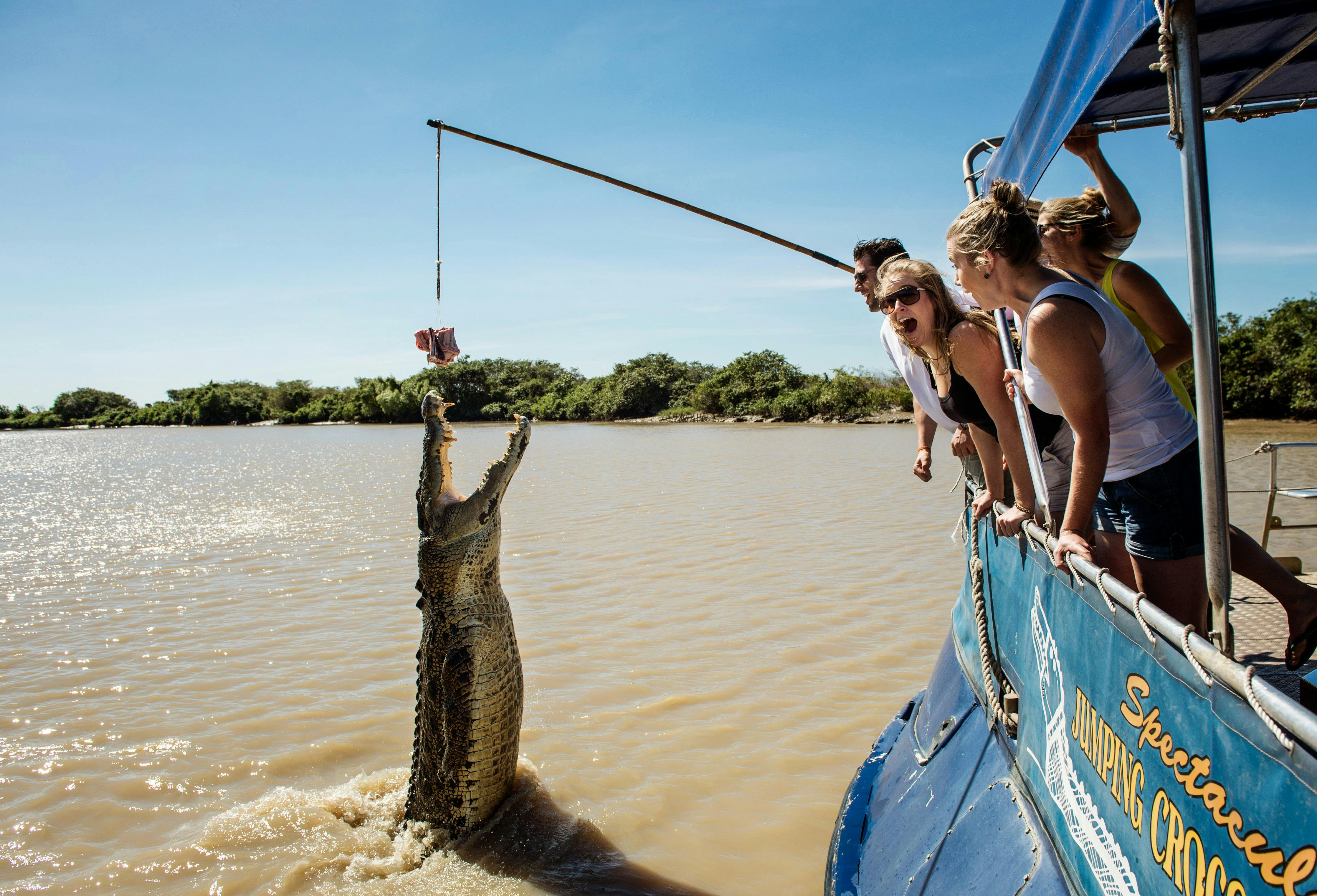 Jumping Crocodile Cruise - Sacred Owl Tours