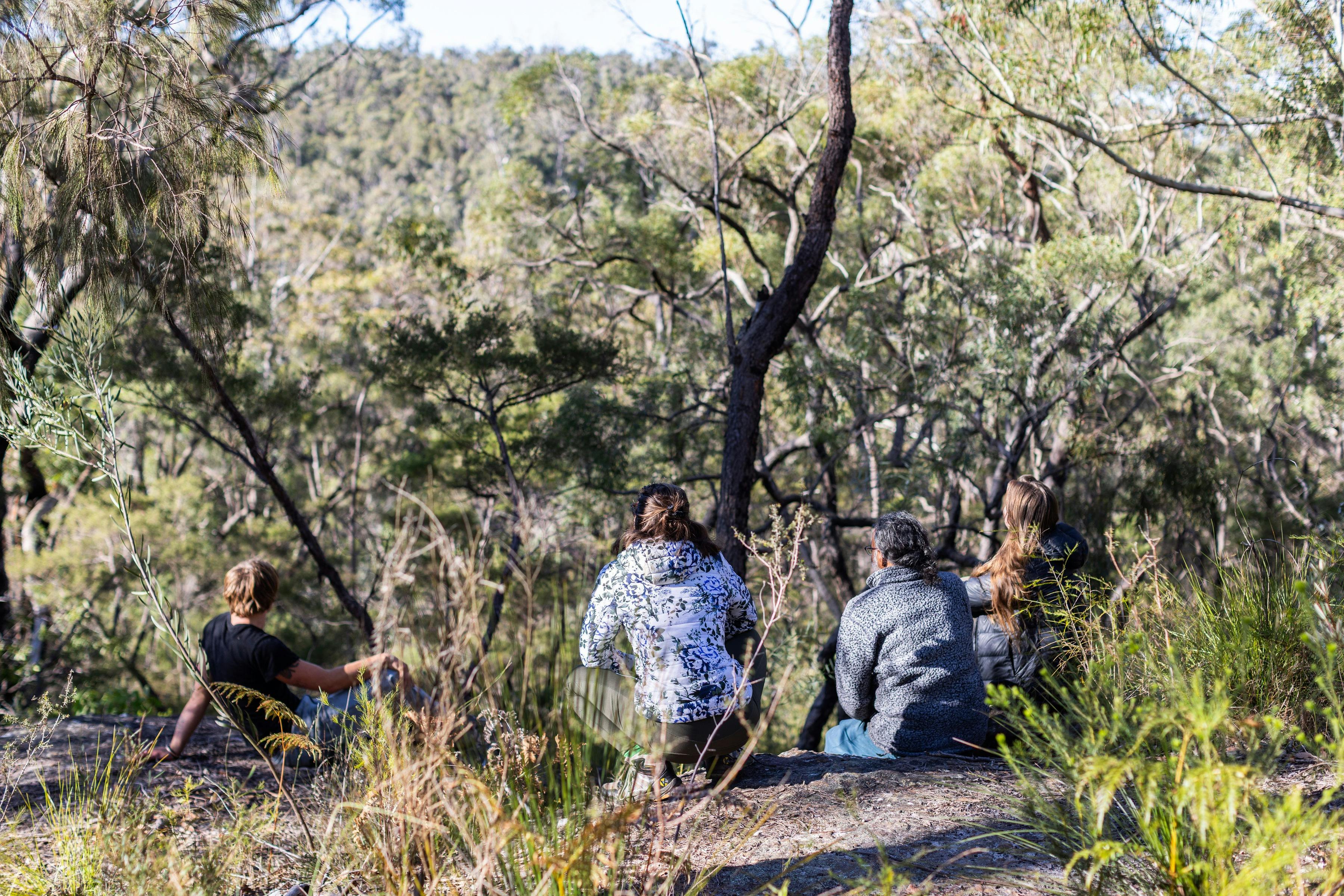 Bushwalk our 40 Acres in the Hawkesbury