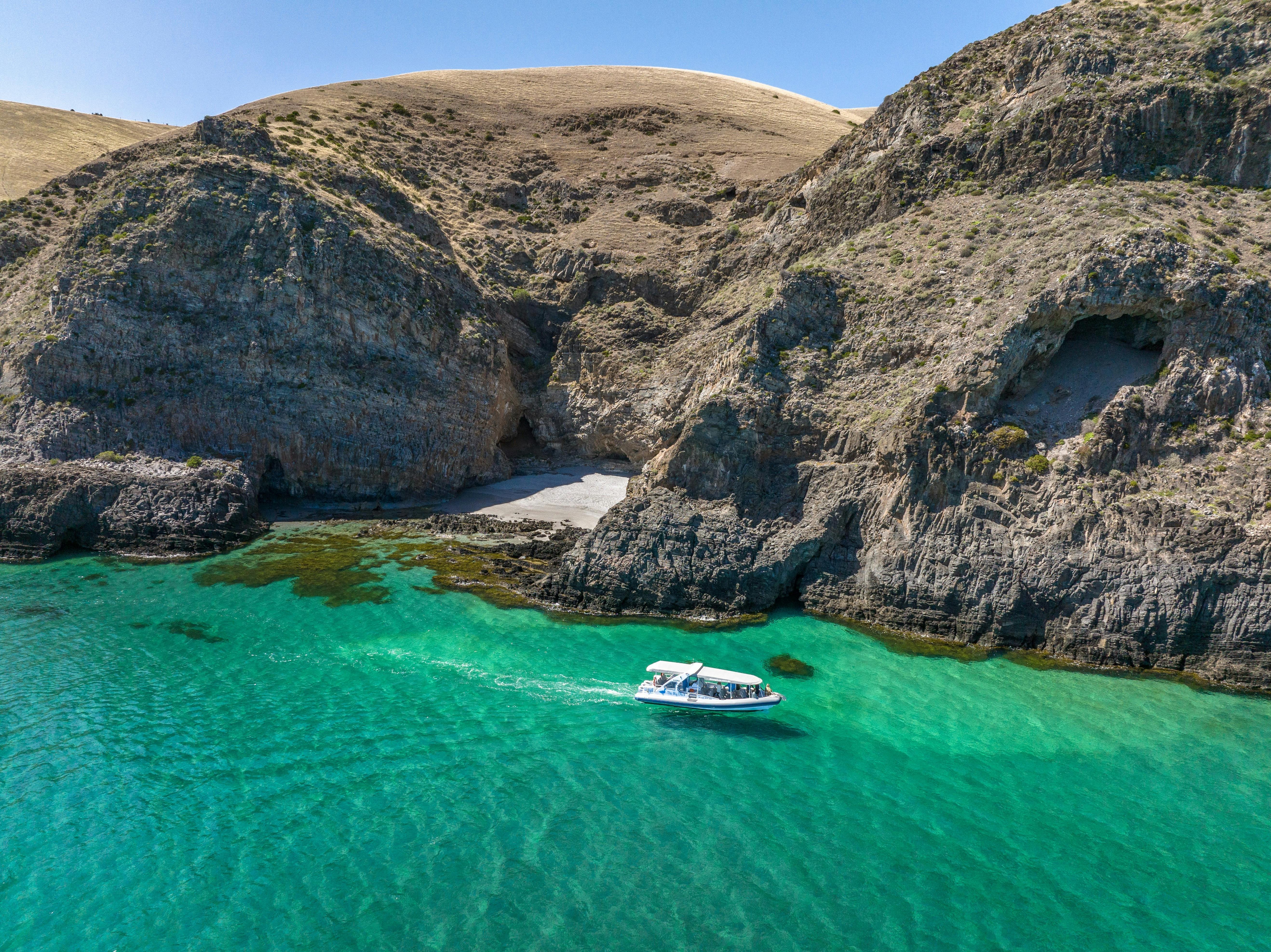 The Big Duck Boat Tours