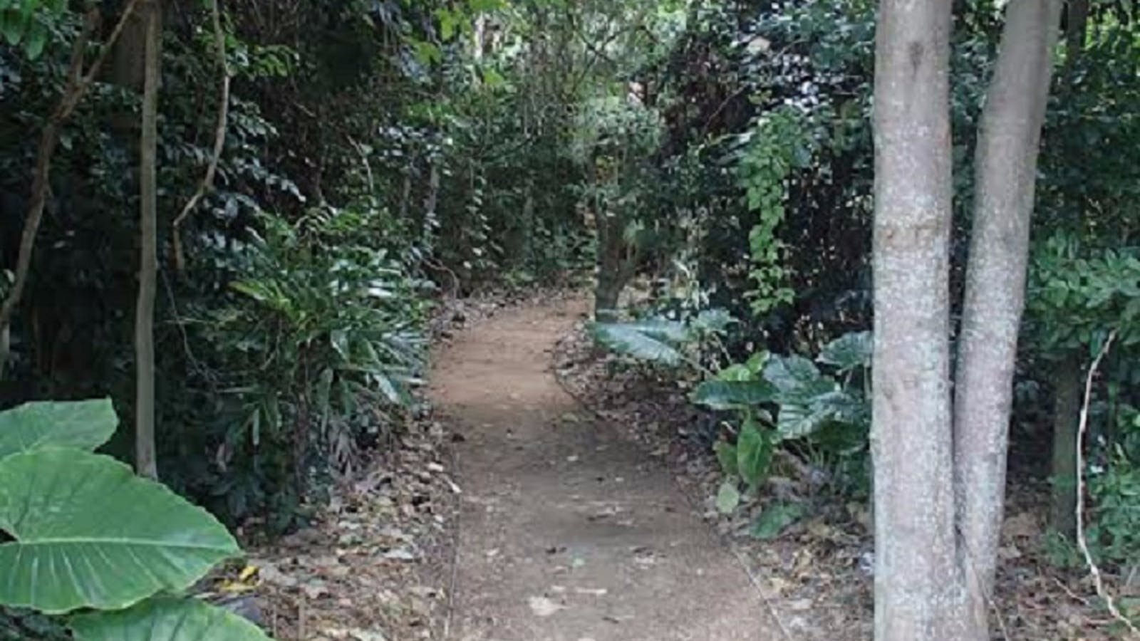 Redcliffe Botanic Gardens