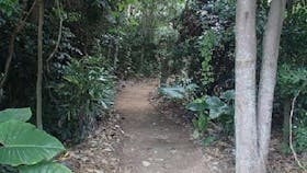 Redcliffe_Botanical_Gardens_3_moreton_bay_region