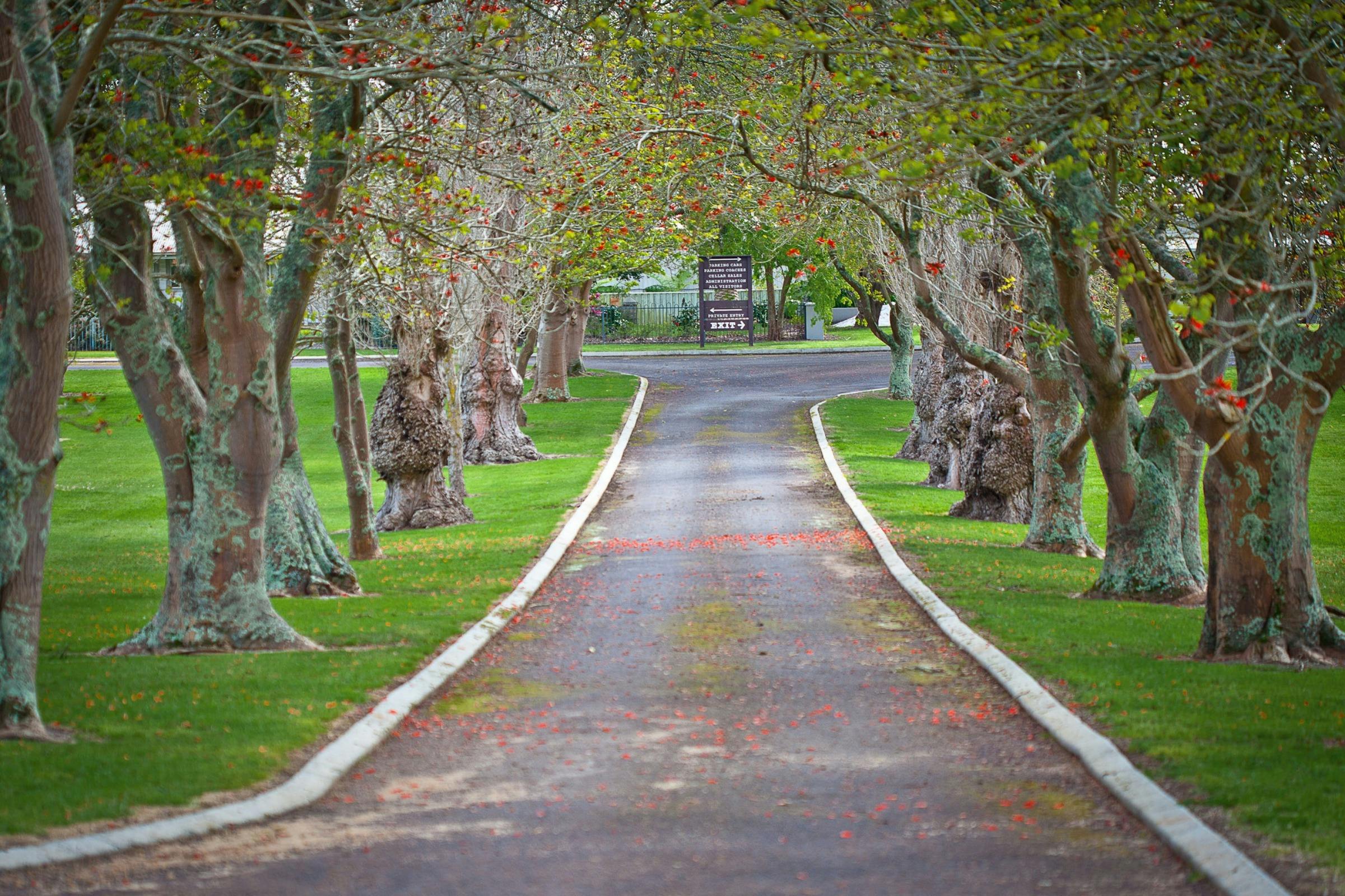 West Cape Howe Wines, Mount Barker, Western Australia