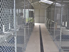Internal kennels with access to private outdoor lawn area