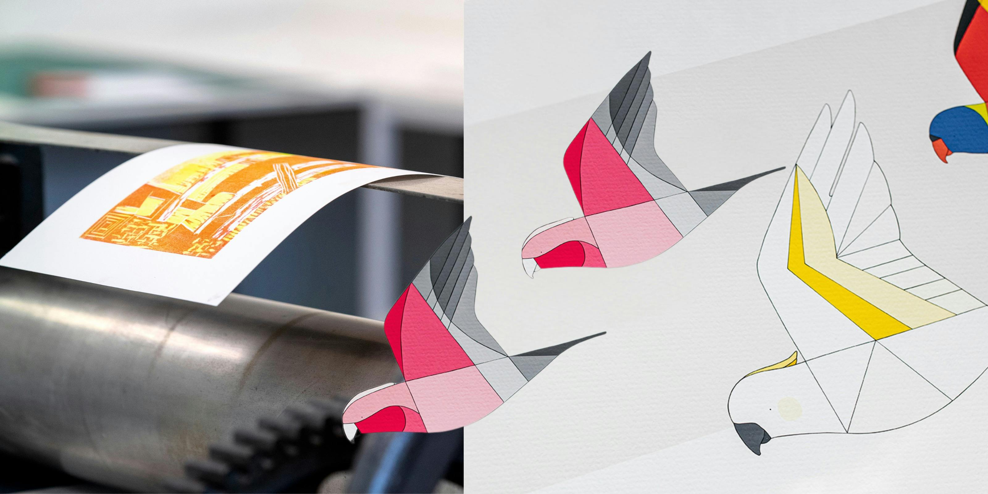 printing press with 2d galahs and cockatoo flying over