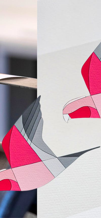 printing press with 2d galahs and cockatoo flying over