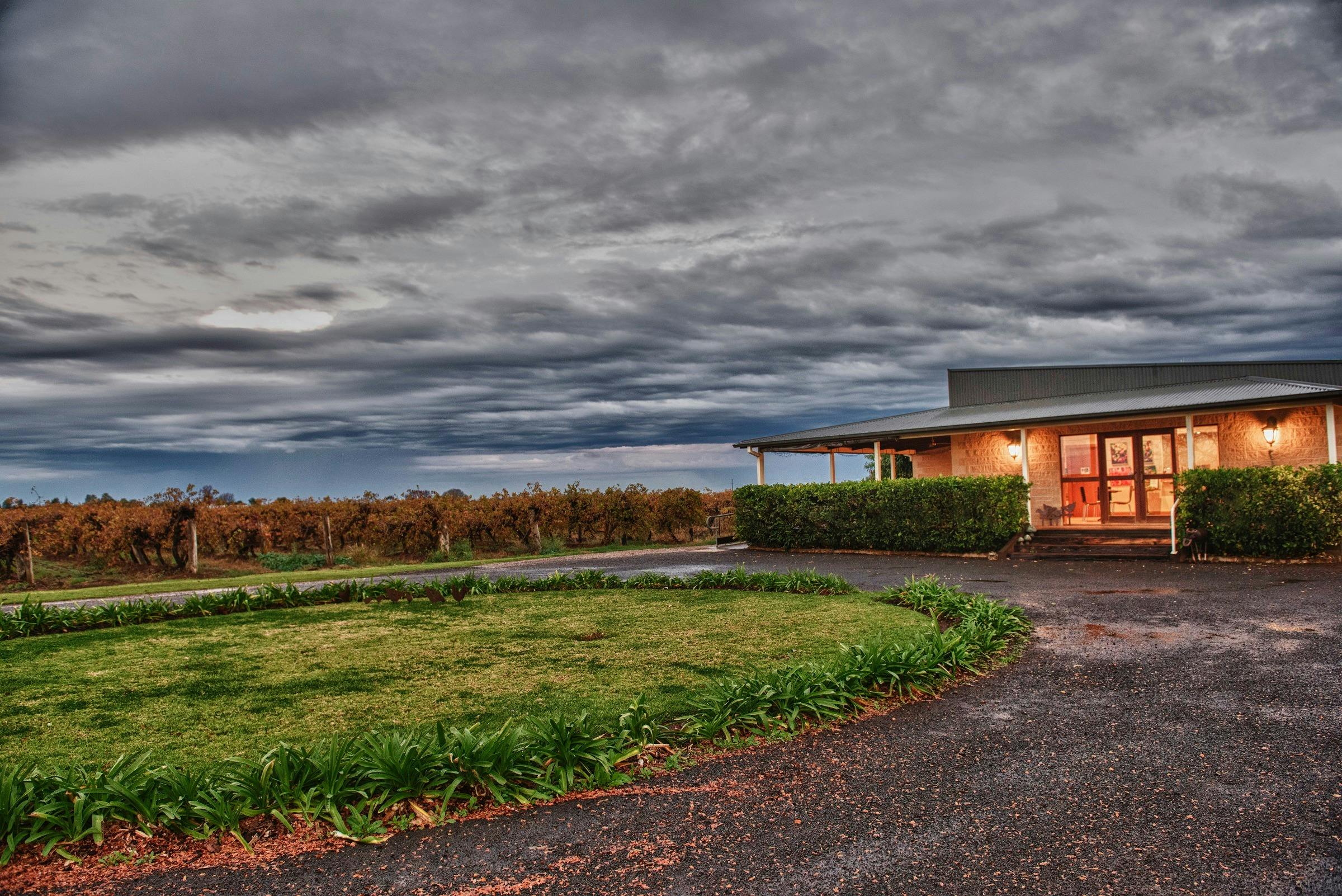 wine tasting in Griffith