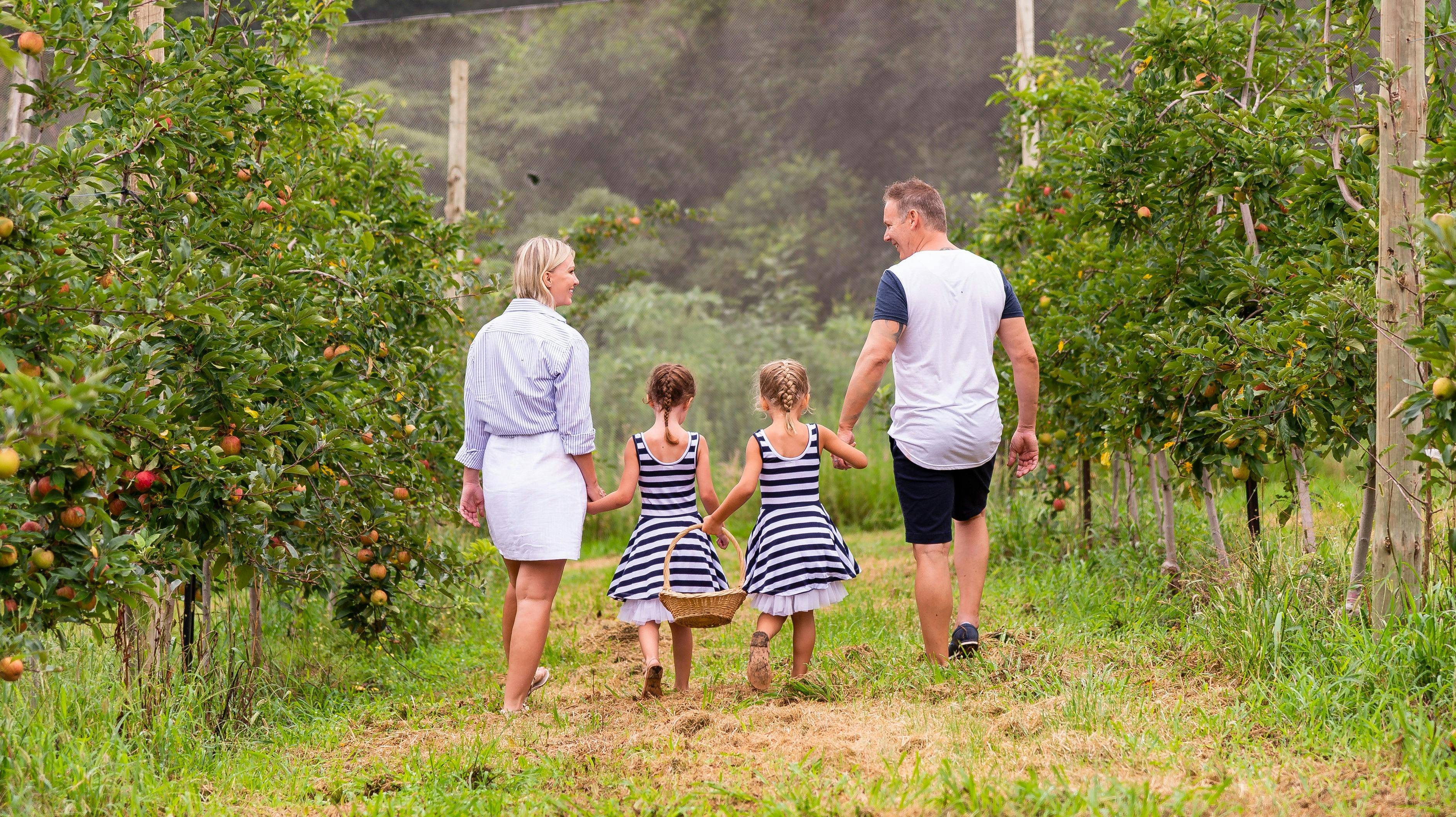 Family enjoying a day of fruit picking at Pine Crest Orchard, Bilpin