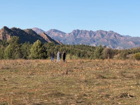 Aboriginal Cultural 4WD Tour - Wilpena Pound Resort