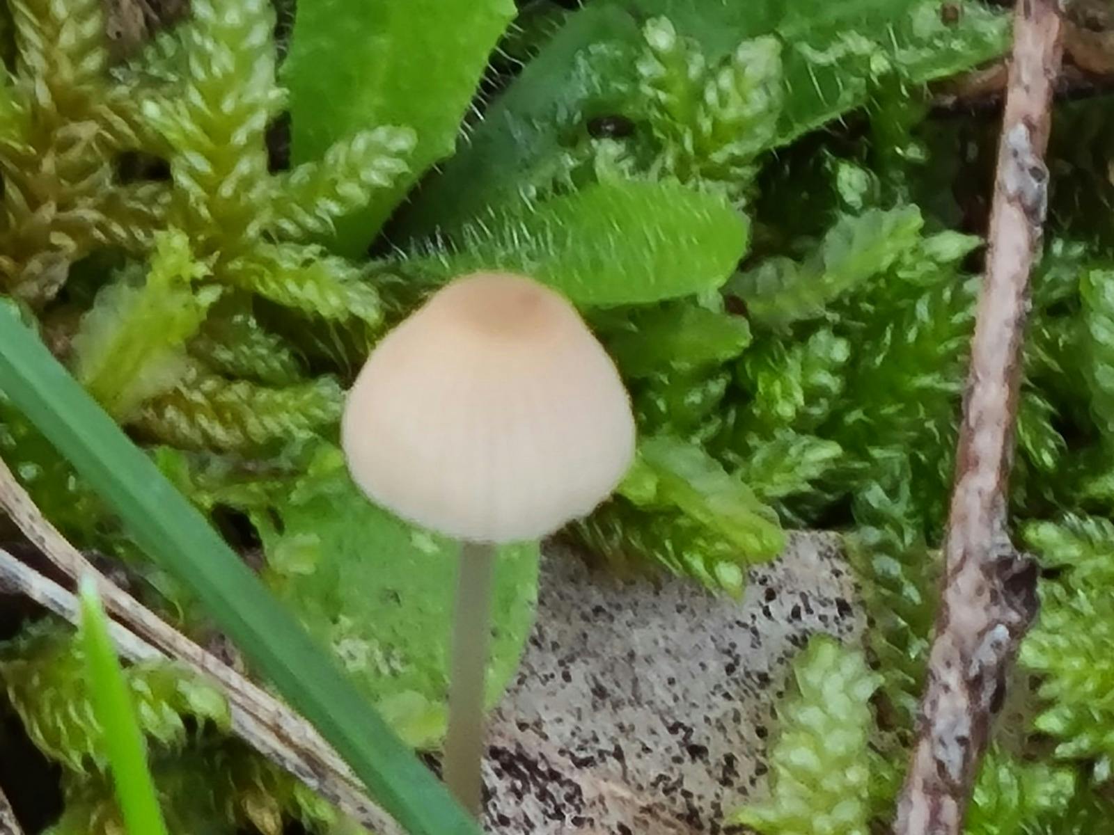 The beauty of nature.