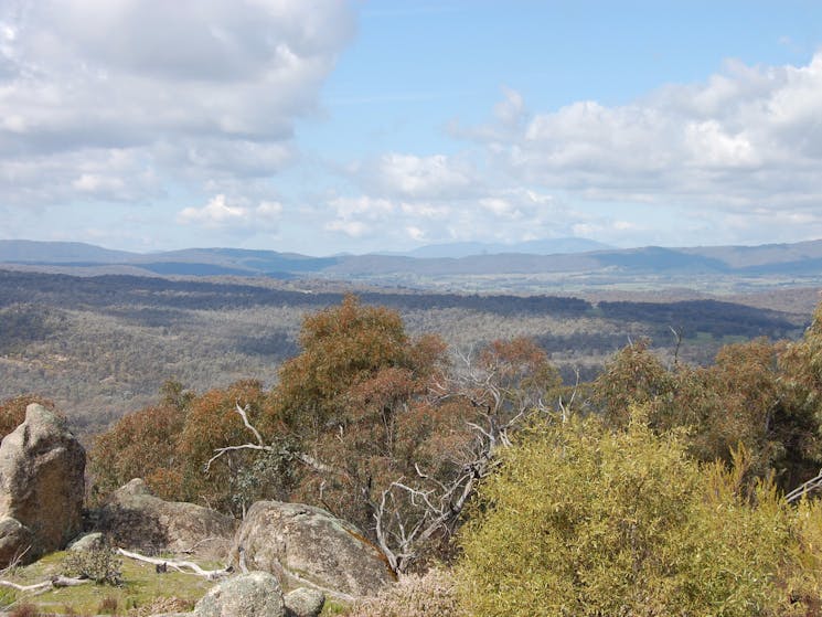 View from the top of Mt Pilot