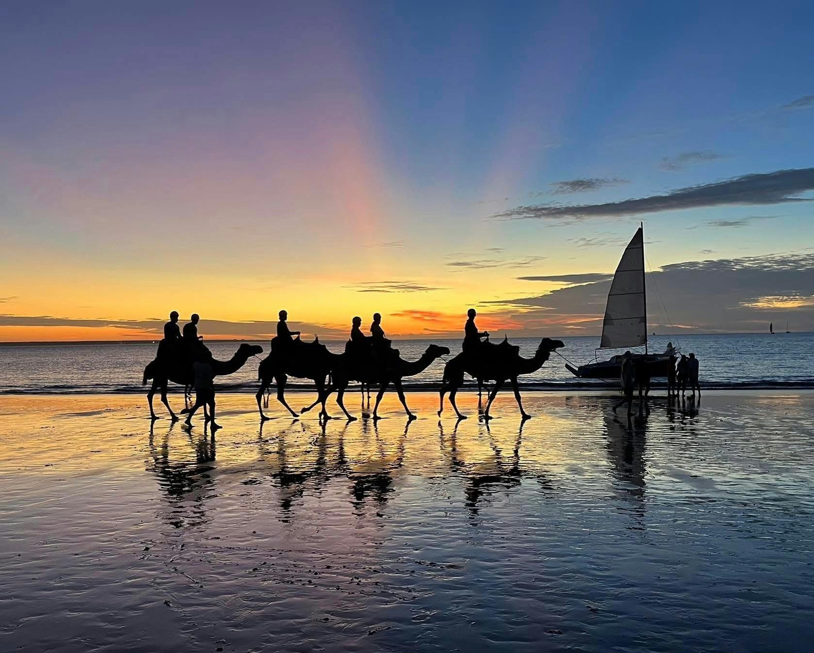 Darwin Camel Rides