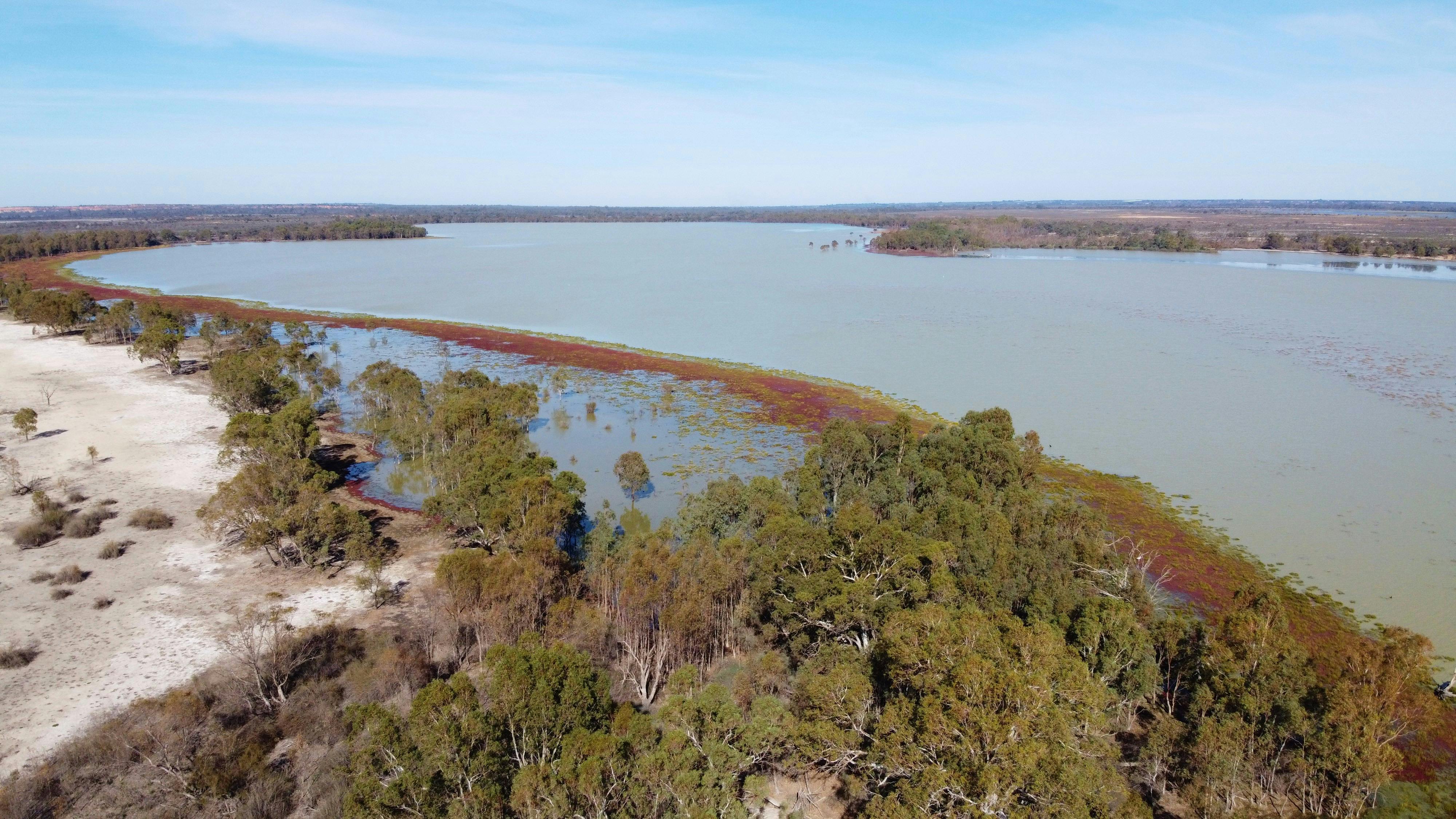 Murray River