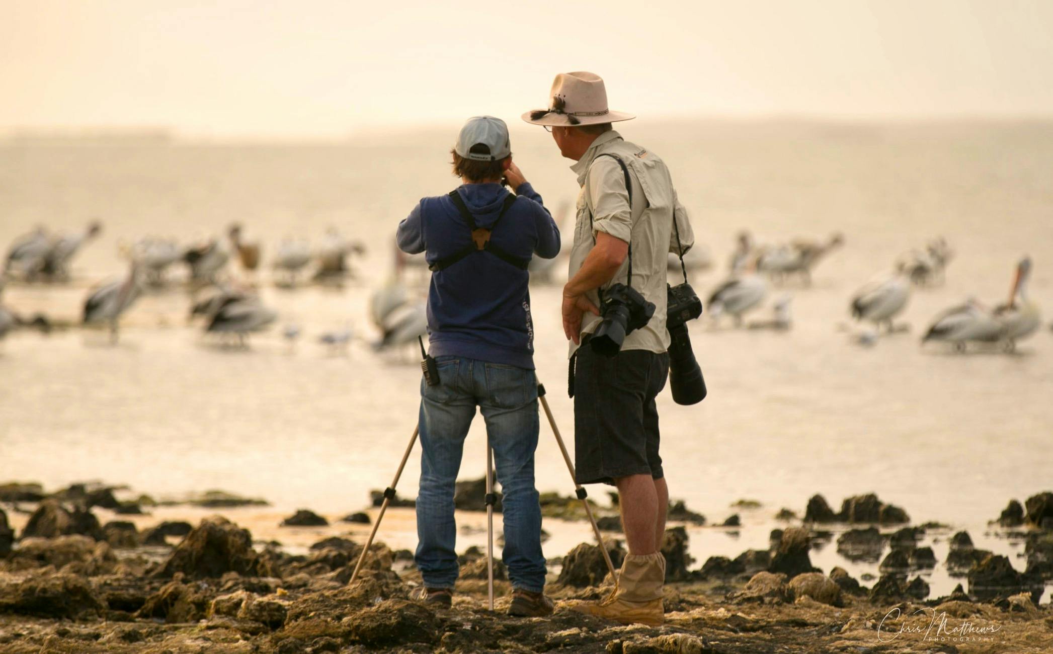 On location, with the experts