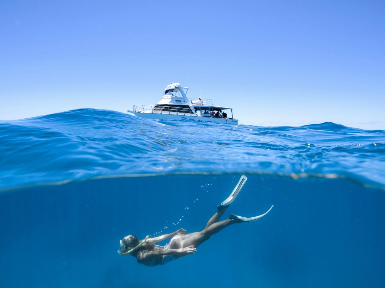 Snorkeler at Lodestone Reef