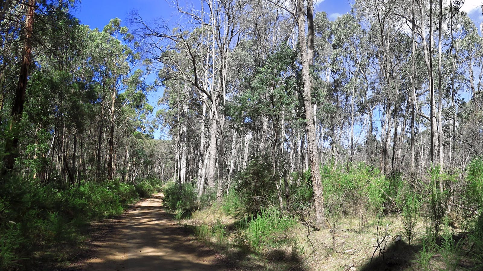 Mount Samaria State Park