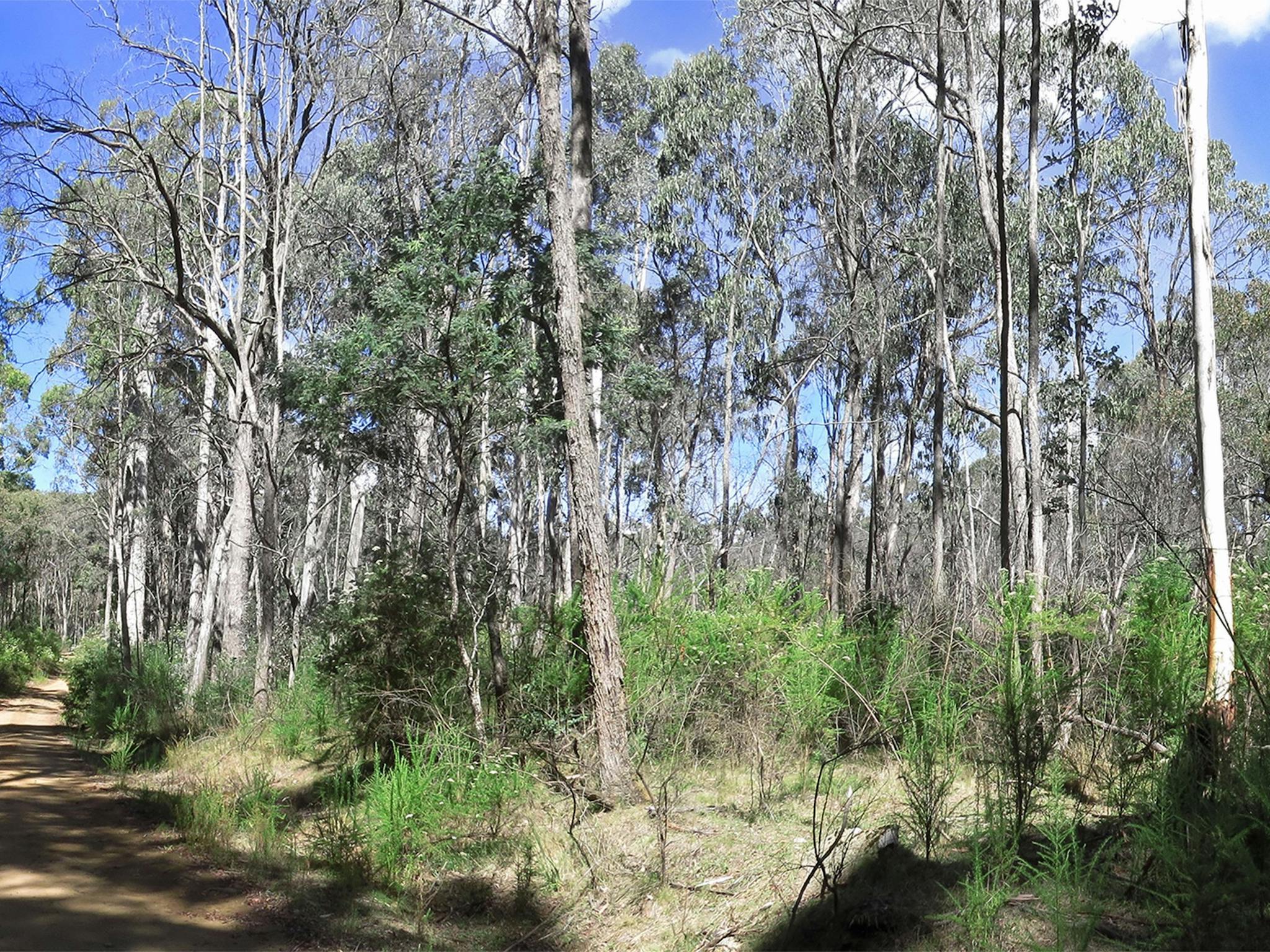 Mount Samaria State Park