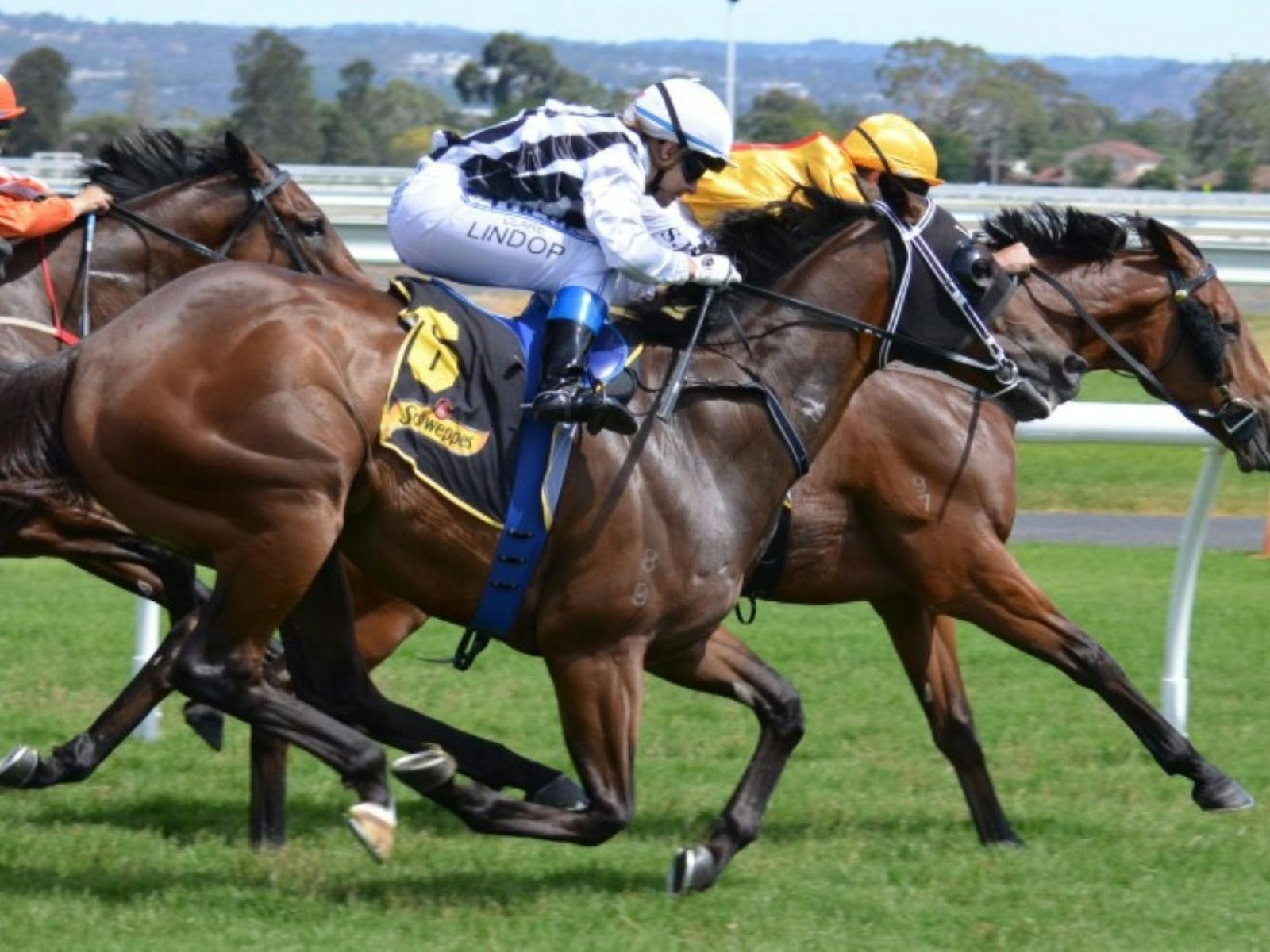 Image of jockeys racing their horses along the track