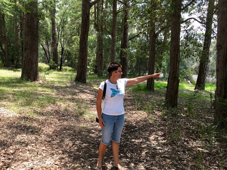 Tour Guide pointing towards river from the wooded riverside track.