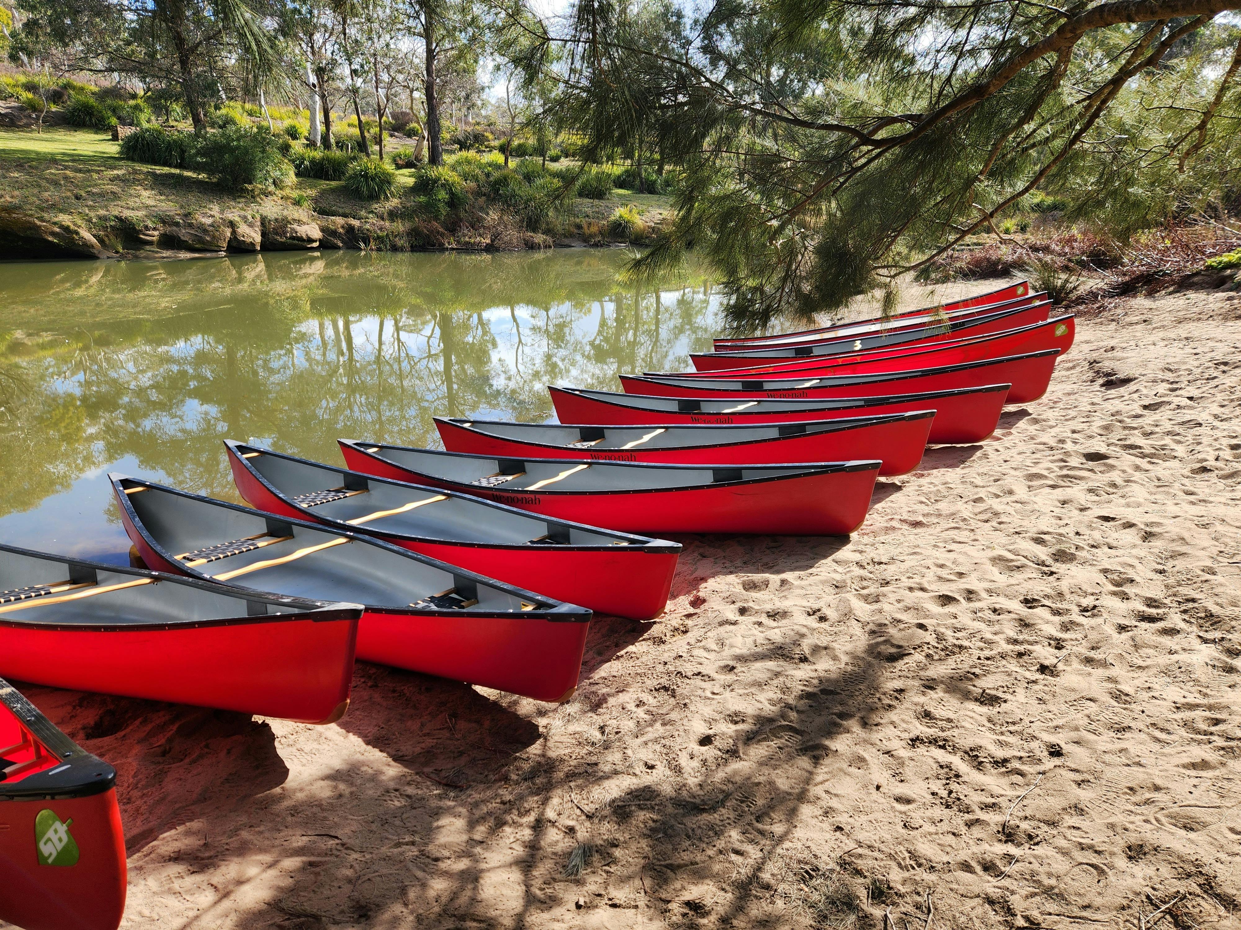 a line up of red canoes on a sandy river shoreline