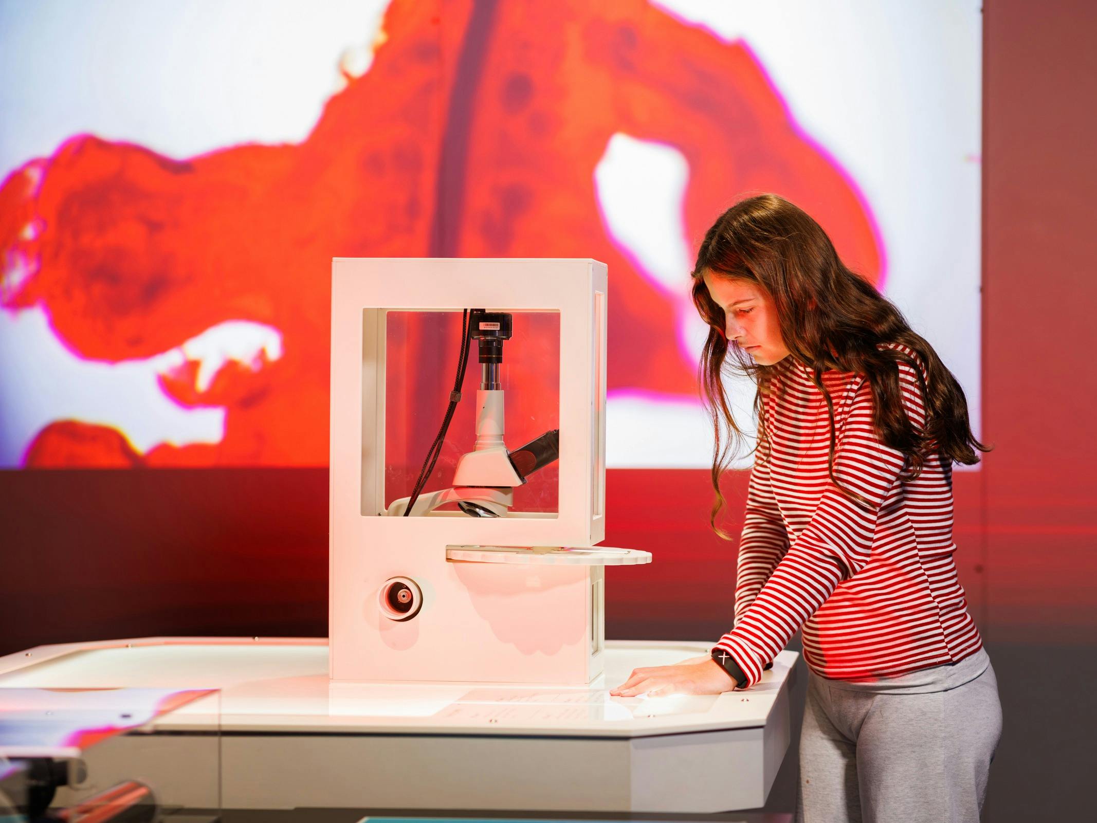 A young girl looks at a large microscope