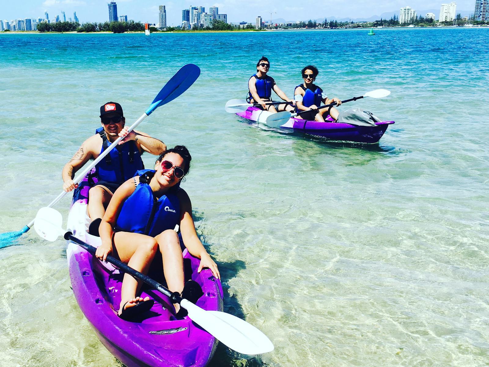 Half Day Dolphin and Stradbroke Island Tour