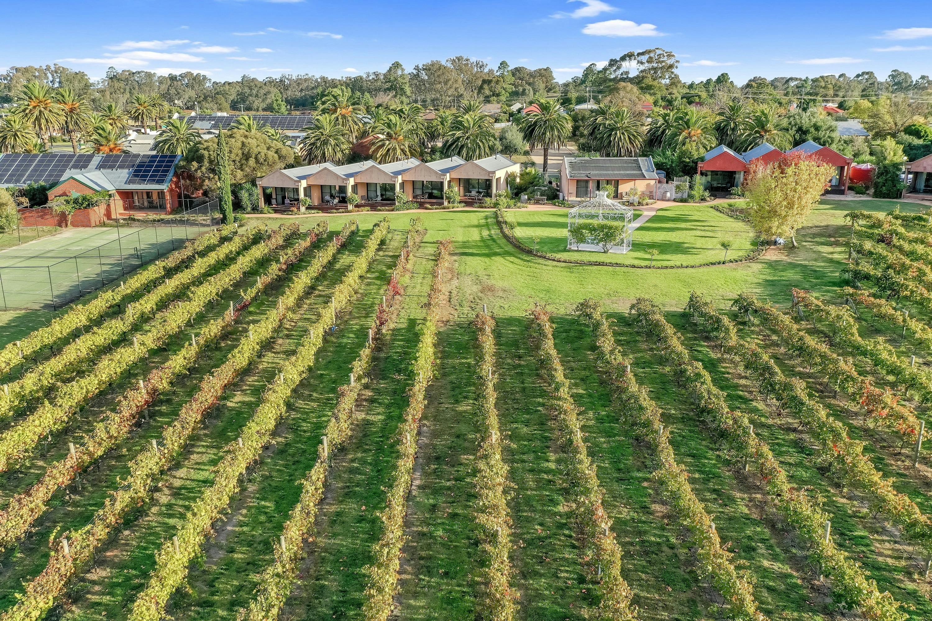 Aerial view Vineyard Accommodation