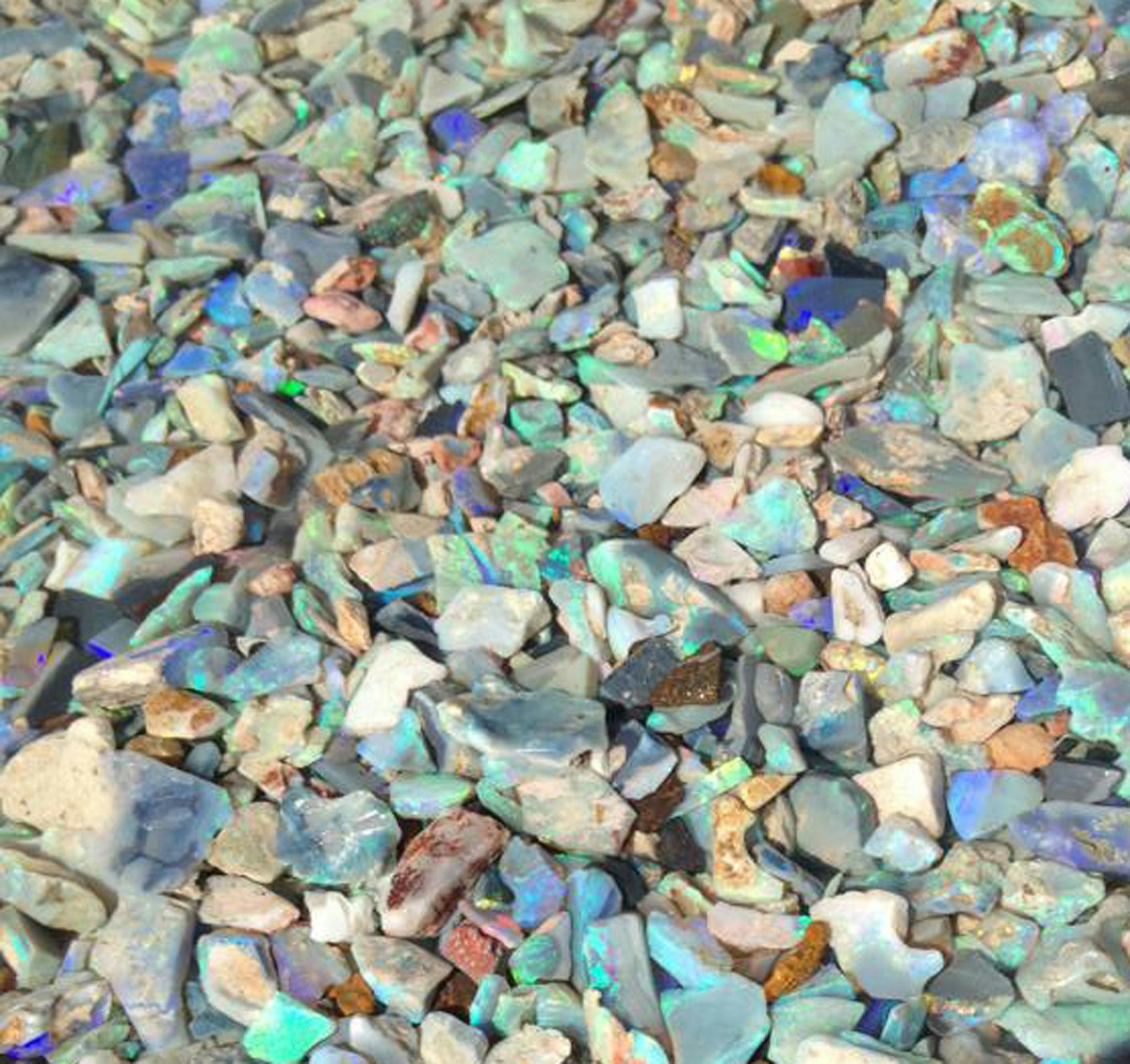 Lightning Ridge Opal Festival NSW Holidays & Things to