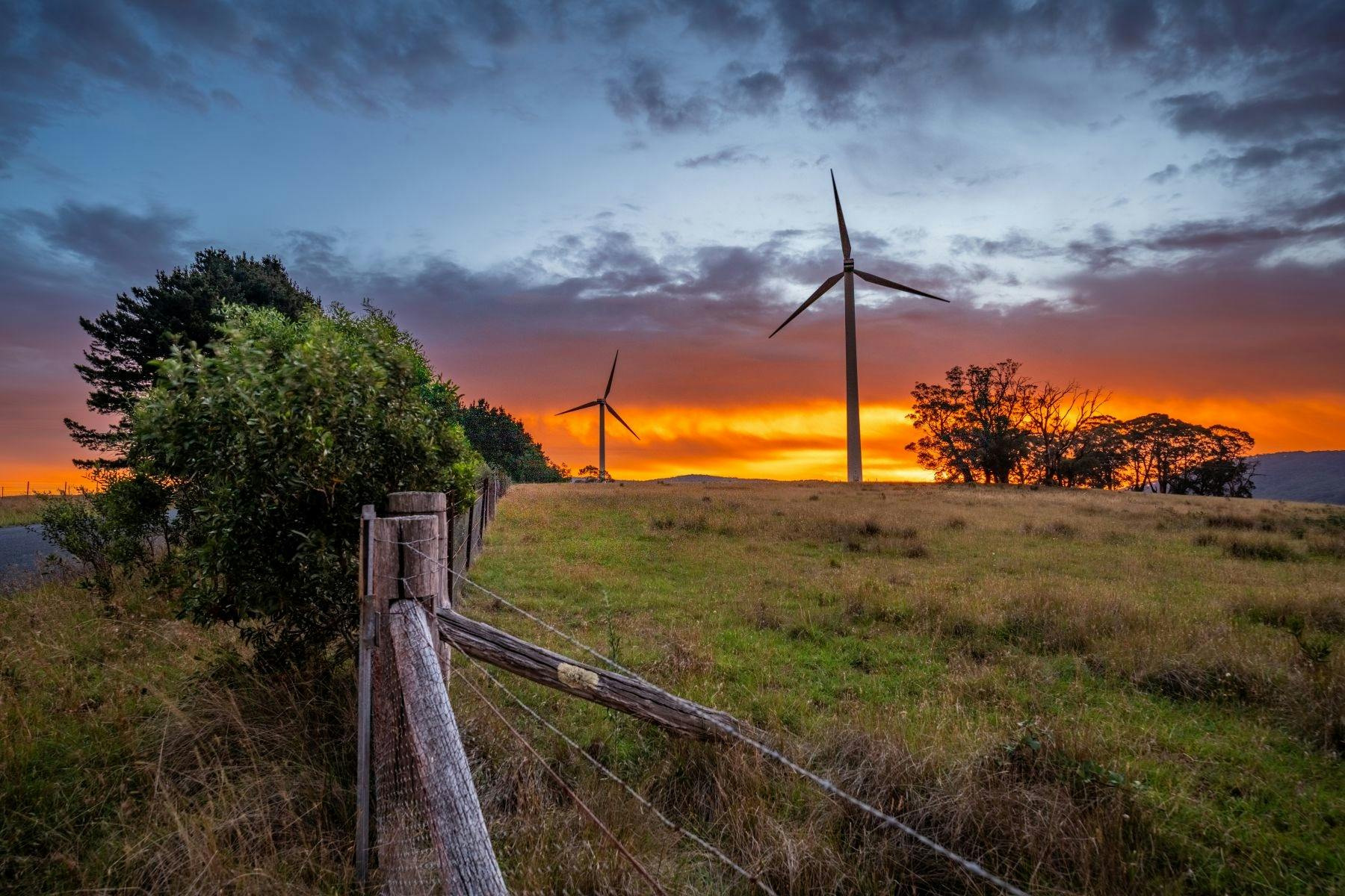 Sunset over wind turbines with trees and fence posts visible surrounding a paddock