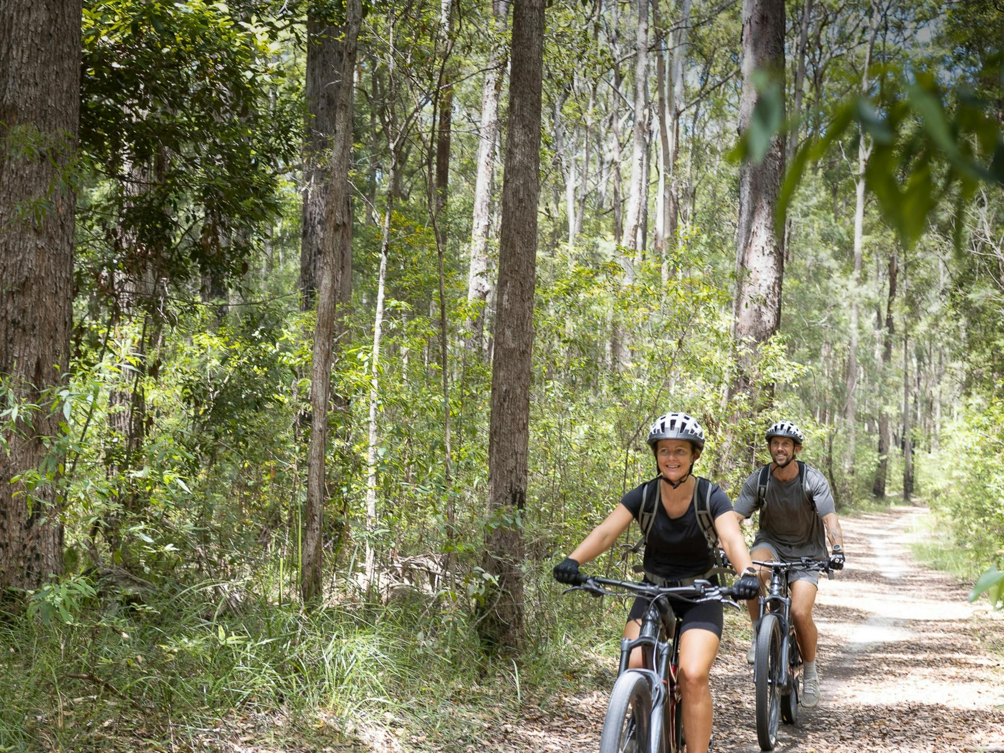Guided, EMTB mountain bike adventure, national park, fun, rain forest ride, thrills Guided, EMTB mountain bike adventure, national park, fun, rain forest ride, thrills