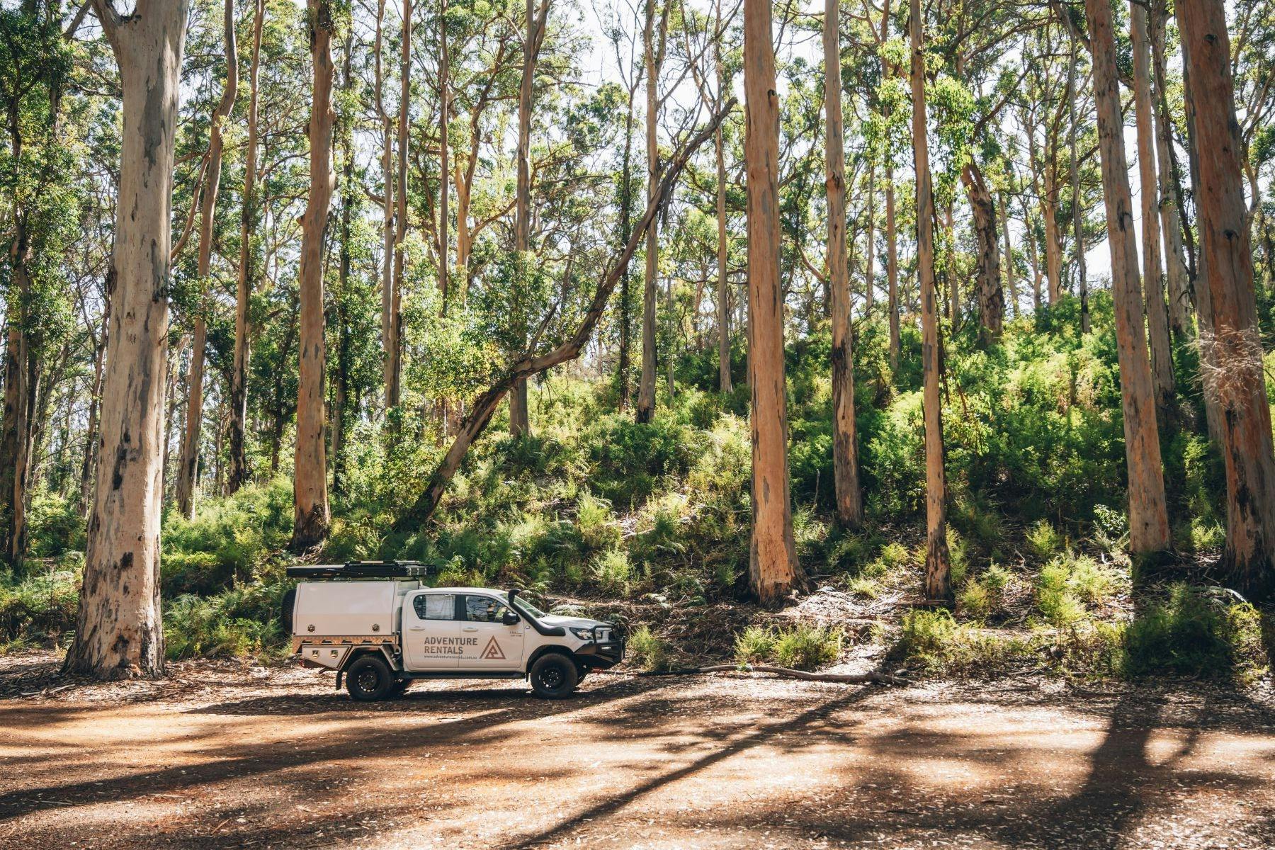 20% Shoulder Season Discount