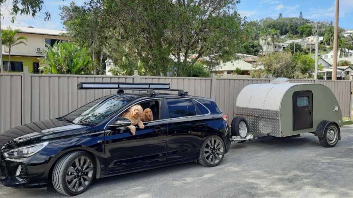 Welcoming fur babies Welcoming fur babies