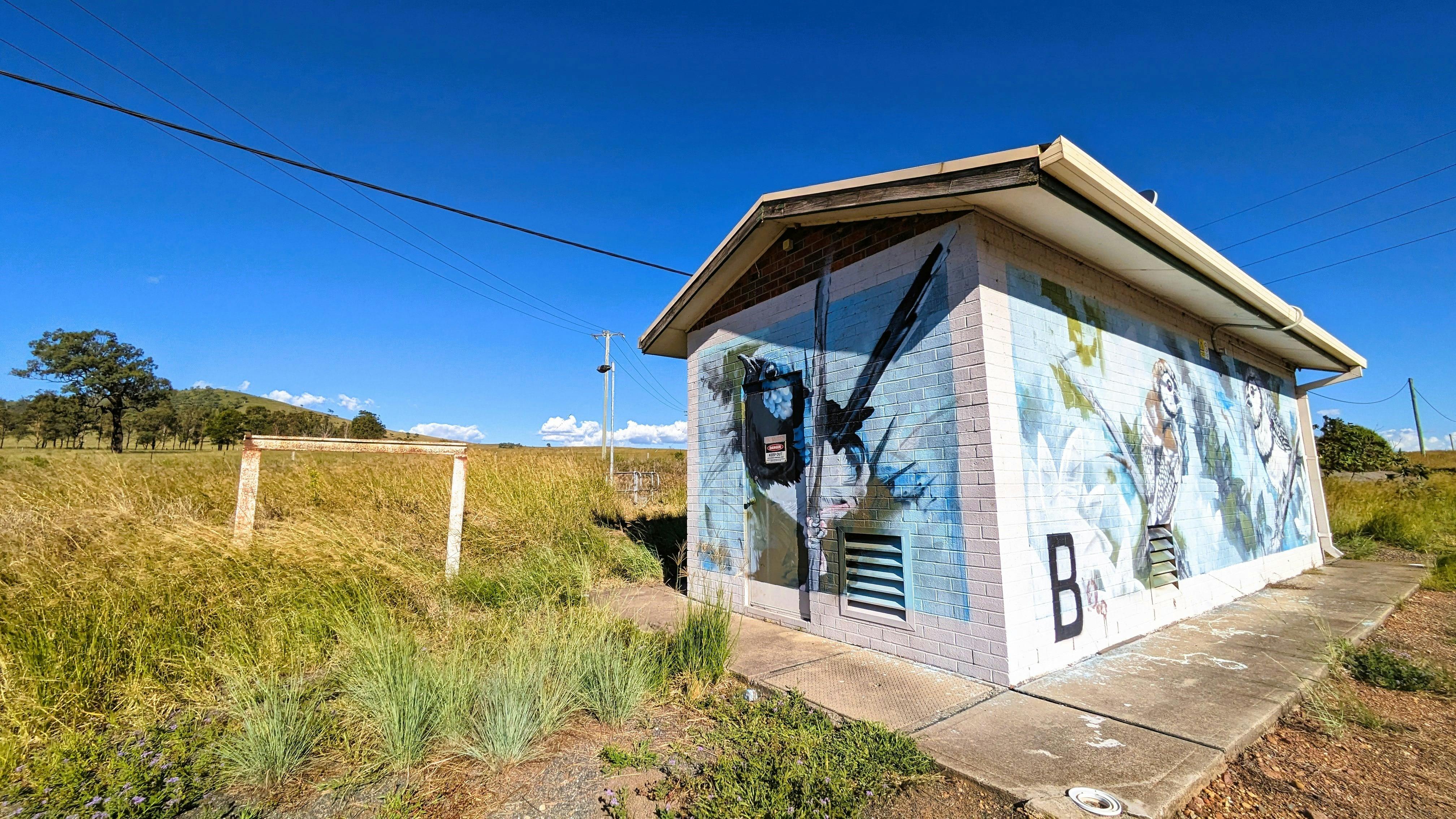 Dartbrook Signal Station Mural with birds
