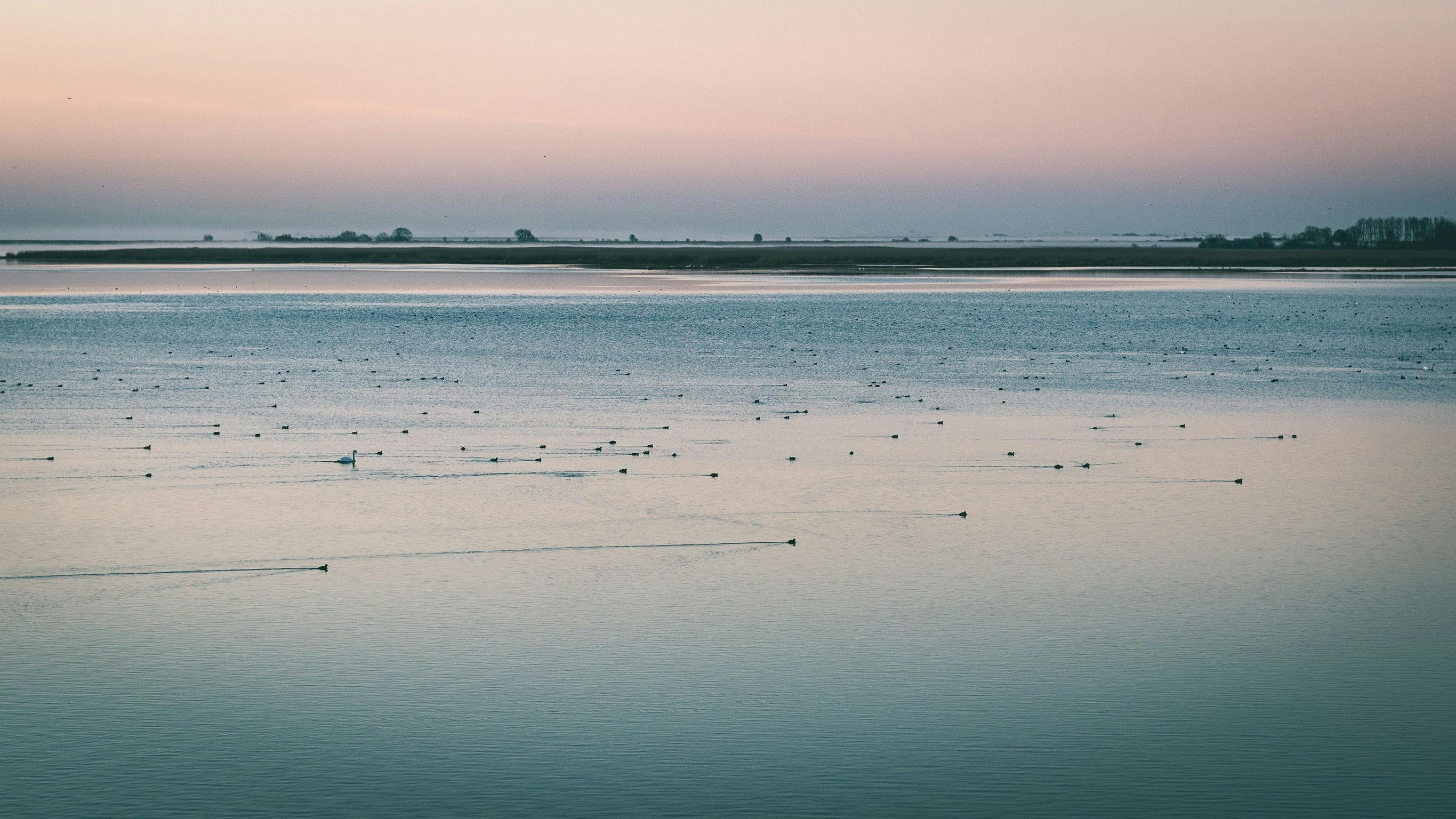 Coorong