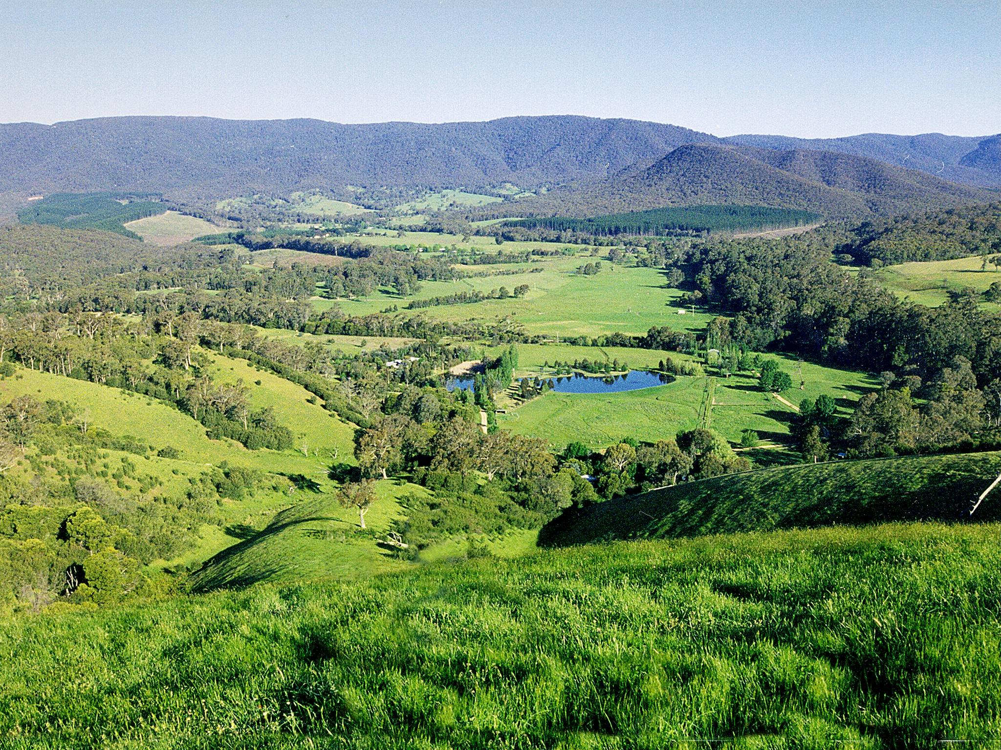 Overlooking Kingbilli from our northern boundary