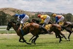 orses and jockeys racing side-on at Gundagai Racecourse with rolling hills in the background.