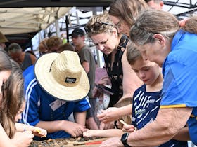 Townsville Gem & Mineral Show Cover Image