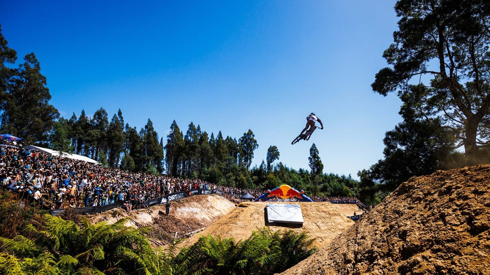 Red Bull Hardline in Tasmania at Maydena Bike Park