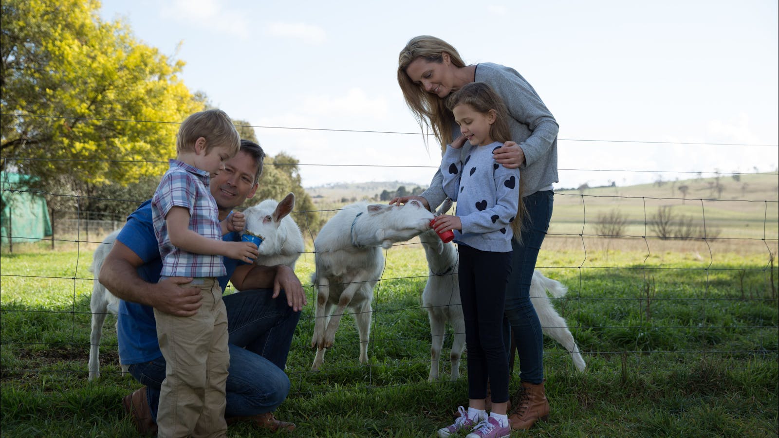 Sunhill Dairy Goats