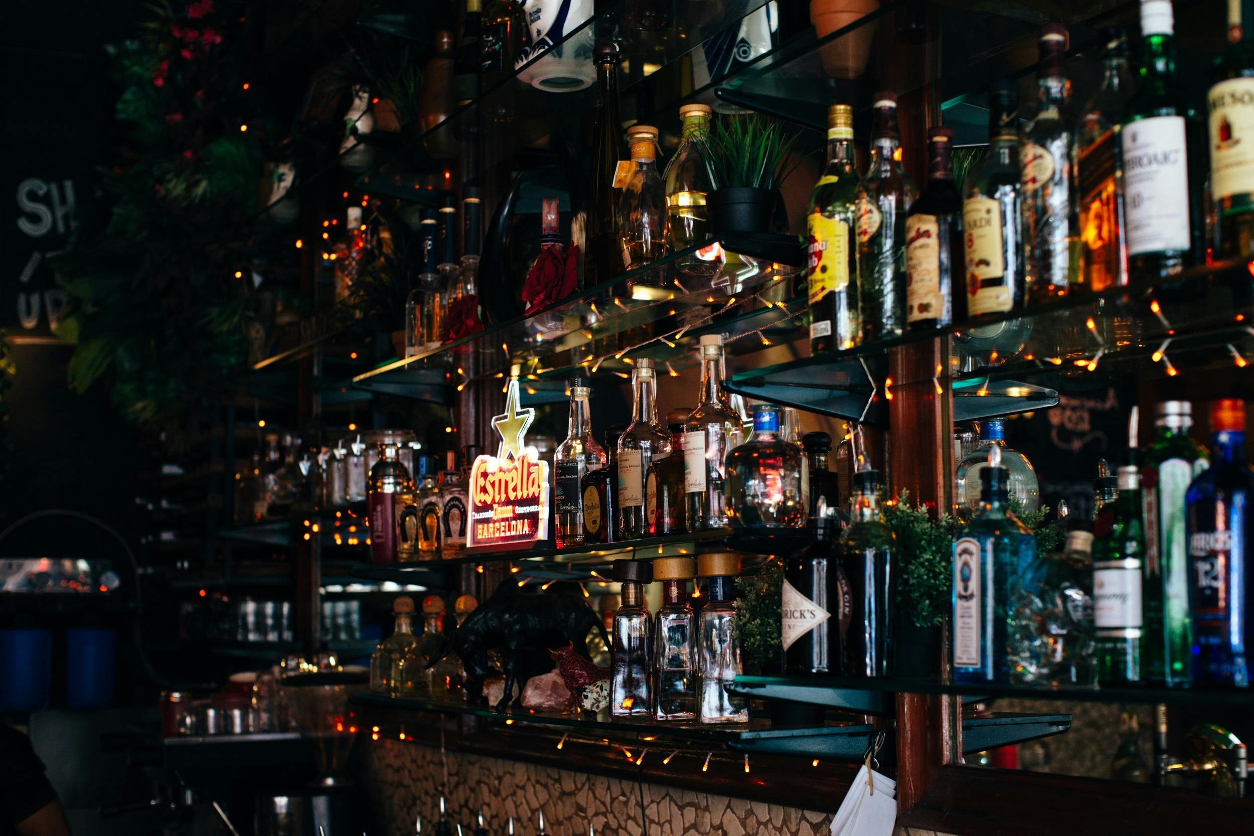 Del Punto Bar in Randwick, Sydney